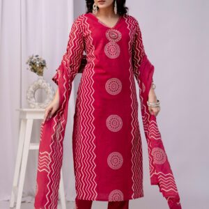 Virash Hub Printed Cotton Straight Suit Set With Dupatta